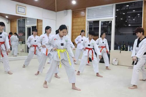 Rèn lực và dưỡng tâm từ võ thuật