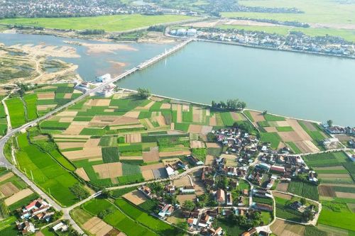 Sức sống mới ở làng rau hơn 300 năm tuổi