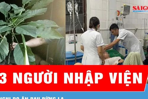 Nghi do ăn rau rừng lạ, 3 người nhập viện cấp cứu