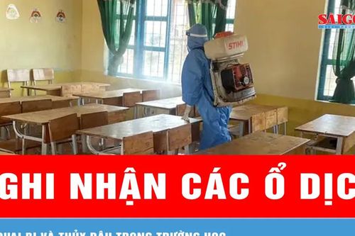 Đắk Lắk: Ghi nhận các ổ dịch quai bị và thủy đậu trong trường học