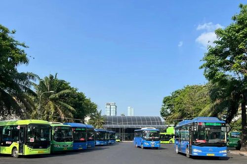 Sẽ miễn vé cho 135 tuyến xe buýt hoạt động tại TPHCM