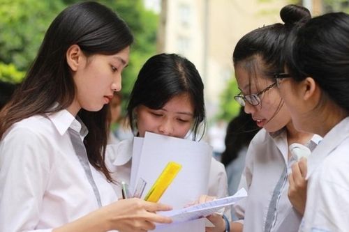 Chọn ngành học giữa 'biển' thông tin: Khi hiểu biết vẫn còn thiếu một nhịp