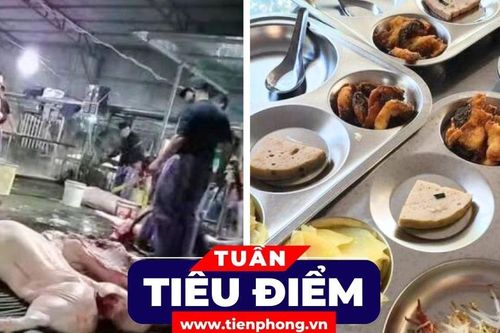 TIÊU ĐIỂM: Ai chịu trách nhiệm để lợn bệnh vào bữa ăn của người tiêu dùng?
