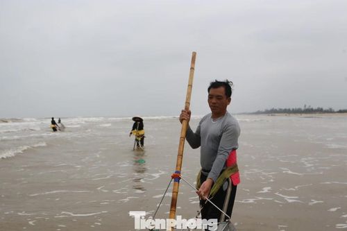 Mùa ốc ruốc ngắn ngủi, ngư dân tranh thủ 'hái lộc biển' kiếm tiền triệu mỗi ngày
