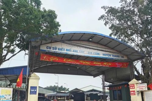 Bộ GD&ĐT yêu cầu kiểm tra suất ăn học đường trên toàn quốc