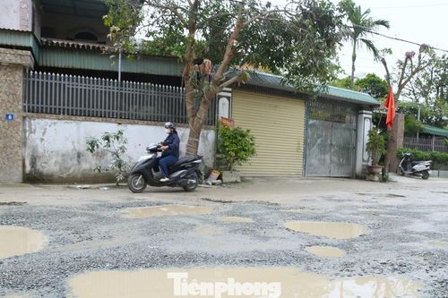 Tuyến đường trung tâm ở Nghệ An xuống cấp, người dân khổ sở né hố sâu