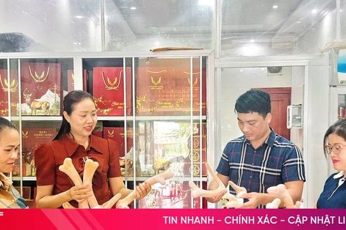 'Thủ phủ' hươu sao Hà Tĩnh làm gì để nâng tầm sản phẩm đặc trưng?