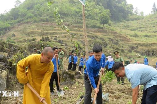 Tuyên Quang: Chung tay phủ xanh biên giới, hướng tới phát triển bền vững