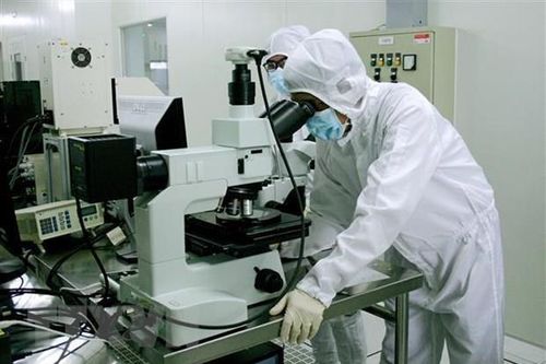 Thúc đẩy các mô hình hợp tác '3 Nhà' phát triển hệ sinh thái đổi mới sáng tạo