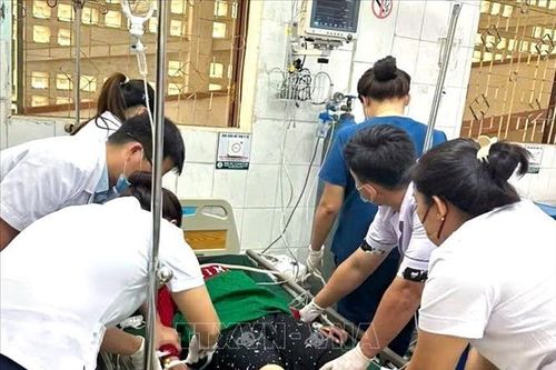 Cảnh báo hiểm họa ngộ độc từ ăn nhầm lá cây độc từ rừng