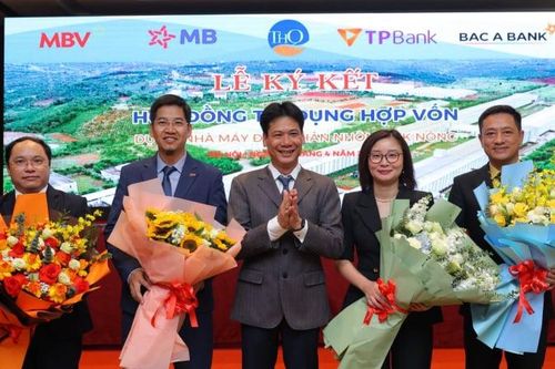 Chuyển động mới tại tổ hợp điện than nhôm 5 tỷ USD ở Lâm Đồng