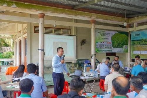 Mô hình lúa giảm phát thải tại Hợp tác xã Tấn Đạt cho hiệu quả cao