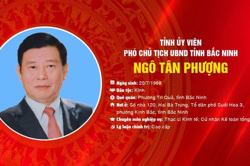 Đồng chí Ngô Tân Phượng, Tỉnh ủy viên, Phó Chủ tịch UBND tỉnh Bắc Ninh