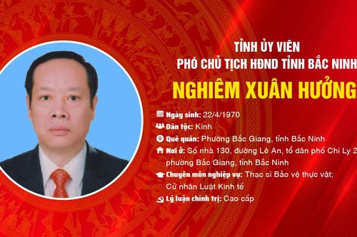 Đồng chí Nghiêm Xuân Hưởng, Tỉnh ủy viên, Phó Chủ tịch HĐND tỉnh Bắc Ninh