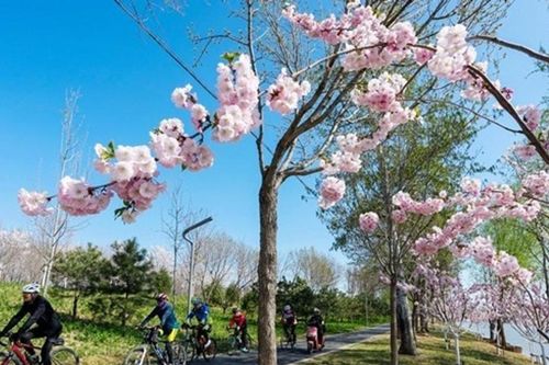 Bắc Kinh ghi nhận chất lượng không khí tốt nhất từ trước đến nay