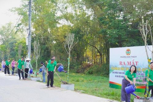 Phường Bàn Thạch ra mắt tuyến đường hoa tường vi