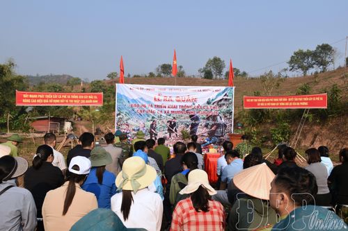 Mường Nhé phấn đấu trồng 300ha cây cà phê trong năm 2026