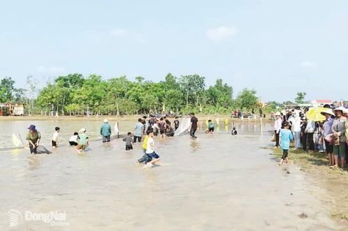 Nét đẹp văn hóa từ Lễ hội Phá bàu của đồng bào Khmer