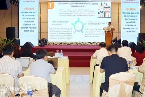 Đồng Nai triển khai Nghị quyết 254 để tháo gỡ điểm nghẽn trong quản lý đất đai cho 95 phường, xã