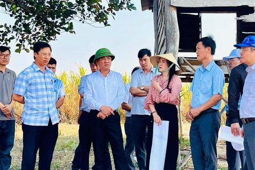 Chủ tịch UBND tỉnh Phạm Anh Tuấn kiểm tra các dự án nông nghiệp, sản xuất thức ăn chăn nuôi