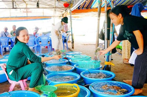 Ngọt bùi đại ngàn - mặn mòi biển cả