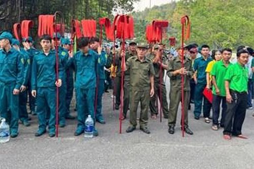 Phường An Cựu thành lập 4 tổ tự quản bảo vệ rừng thông
