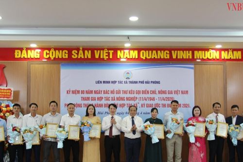 Từ truyền thống 80 năm đến nhịp đập mới: Hải Phòng 'kích hoạt' tháng cao điểm vì HTX