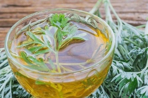 3 cách sử dụng ngải cứu làm sáng da hiệu quả tại nhà