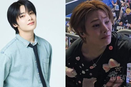 I.N của Stray Kids đã đích thân xin lỗi một người hâm mộ