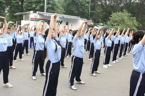 Giảng viên, sinh viên y học cổ truyền lan tỏa thông điệp Ngày Sức khỏe toàn dân