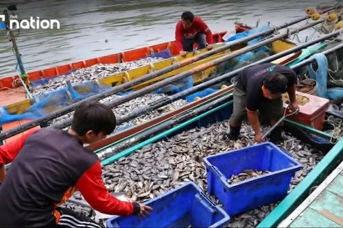 Nghề đánh bắt cá của Thái Lan gặp khó do giá nhiên liệu