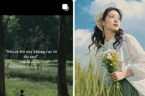 Lỡ cả đời này không rực rỡ thì sao?