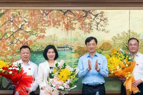 Hà Nội bầu Phó Trưởng đoàn ĐBQH và đại biểu chuyên trách