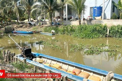 Cá sấu nặng hàng chục ký xuất hiện ở kênh nước