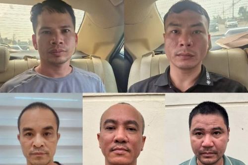 Công an TP Hà Nội triệt phá ổ nhóm trộm cắp mèo
