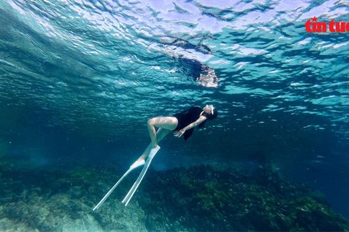Khám phá Lý Sơn, hòn đảo được mệnh danh 'Maldives' của Việt Nam
