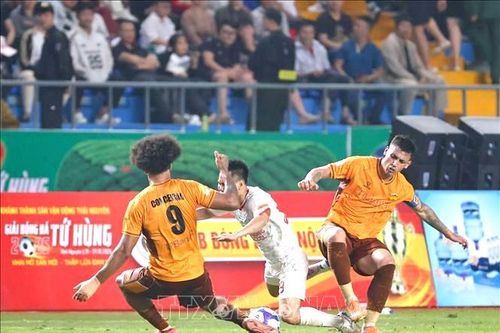 Vòng 17 V-League: Khi HAGL đối đầu Ninh Bình của HLV Vũ Tiến Thành