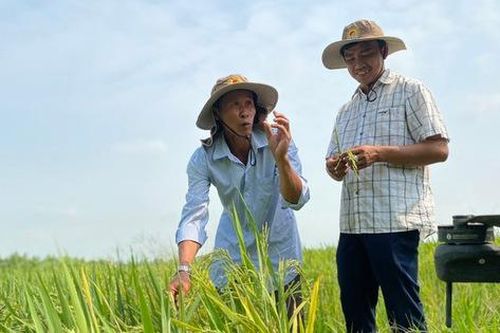 Đổi mới quy định công nhận nông thôn mới giai đoạn 2026-2030