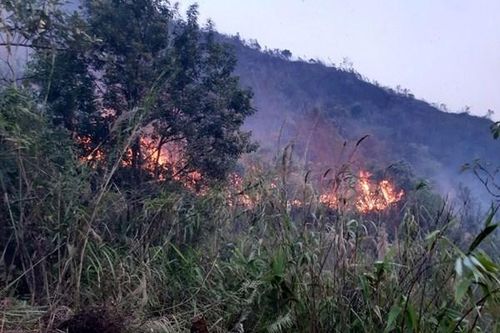Điện Biên siết chặt phòng cháy rừng, dừng đốt nương