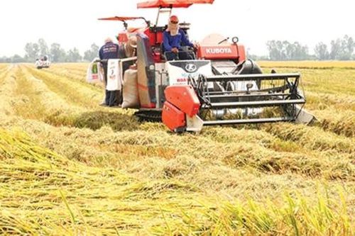 Nghị quyết 85/NQ-CP: Mở 'đòn bẩy' chính sách, đưa nông nghiệp vào Top 15 thế giới