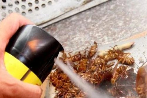 Cấm sử dụng 40 hóa chất trong chế phẩm diệt côn trùng, diệt khuẩn từ ngày 15/5