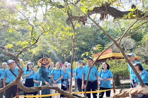 Khi di sản 'kể chuyện' thông qua sản phẩm du lịch