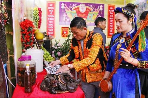 Động lực mới cho kinh tế vùng cao