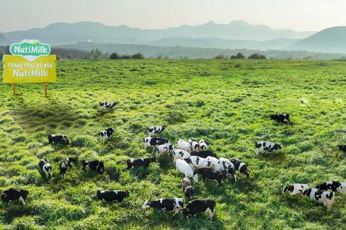 Điểm tin trưa: Gia Lai tháo 'nút thắt' cho các dự án nông nghiệp, chăn nuôi quy mô lớn