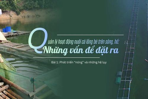 Bài 1: Phát triển 'nóng' và những hệ lụy