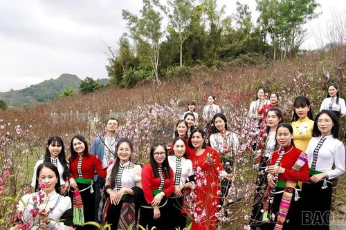 Phường Trung Tâm: Hiện thực hóa Nghị quyết 35 của Tỉnh ủy về phát triển du lịch