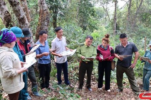 'Canh lửa', giữ rừng mùa hanh khô