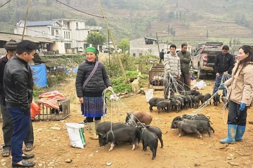 Độc đáo chợ phiên vùng biên ở Lào Cai