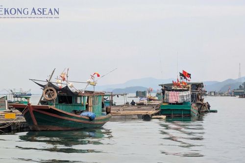 Khai thác thủy sản giảm, chăn nuôi tiếp tục tăng trưởng