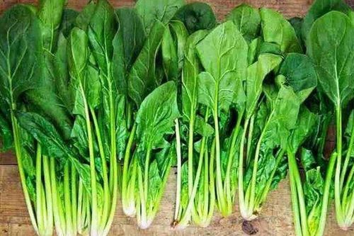 Mướp rất bổ, ví như 'nhân sâm người nghèo' nhưng kỵ với 3 thứ này, đừng dại nấu chung nhé!